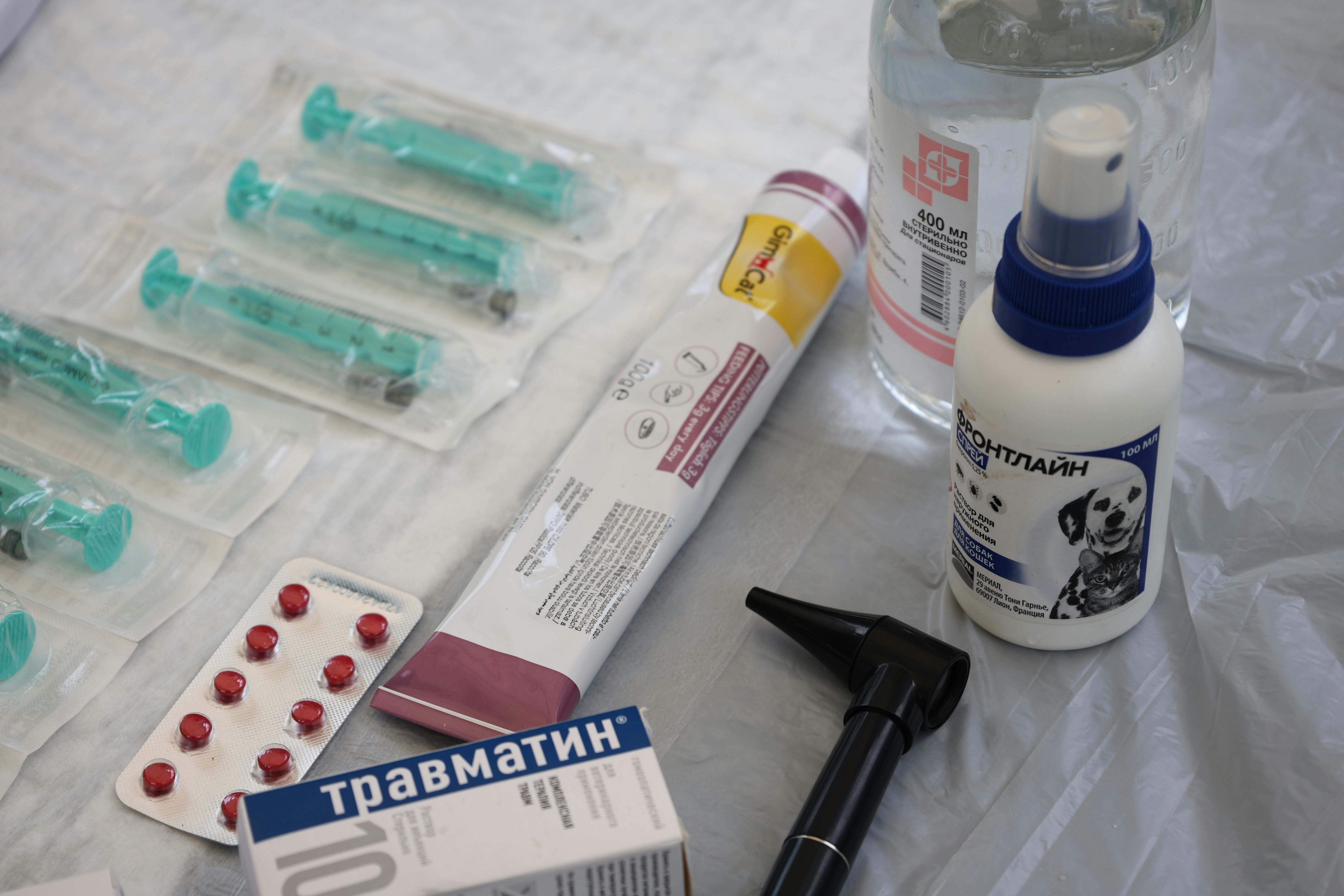 Farmacéutica veterinaria organizando medicamentos
