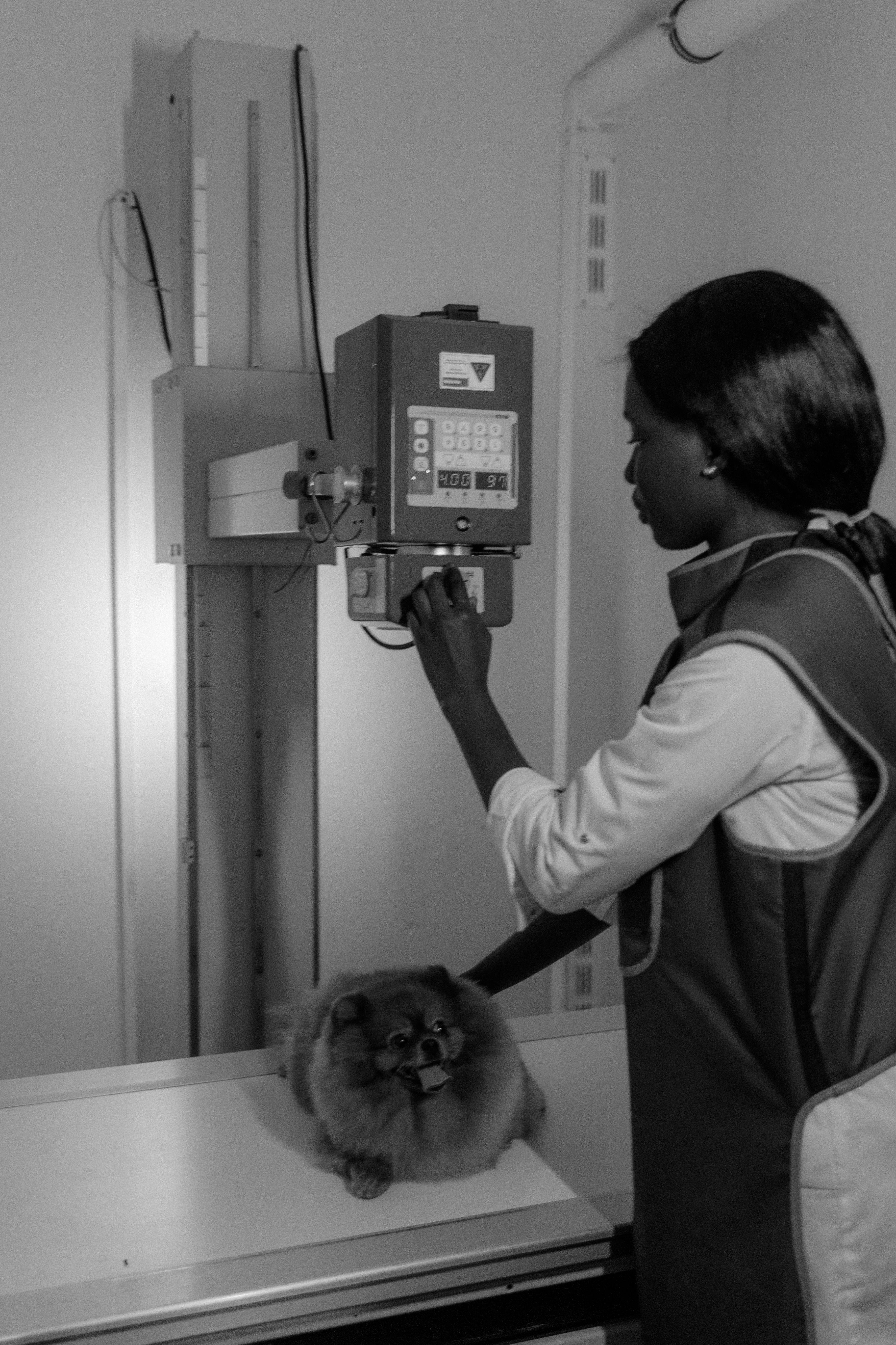 Radiografía veterinaria de alta resolución